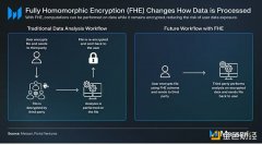 Messari：全同态加密项目速览